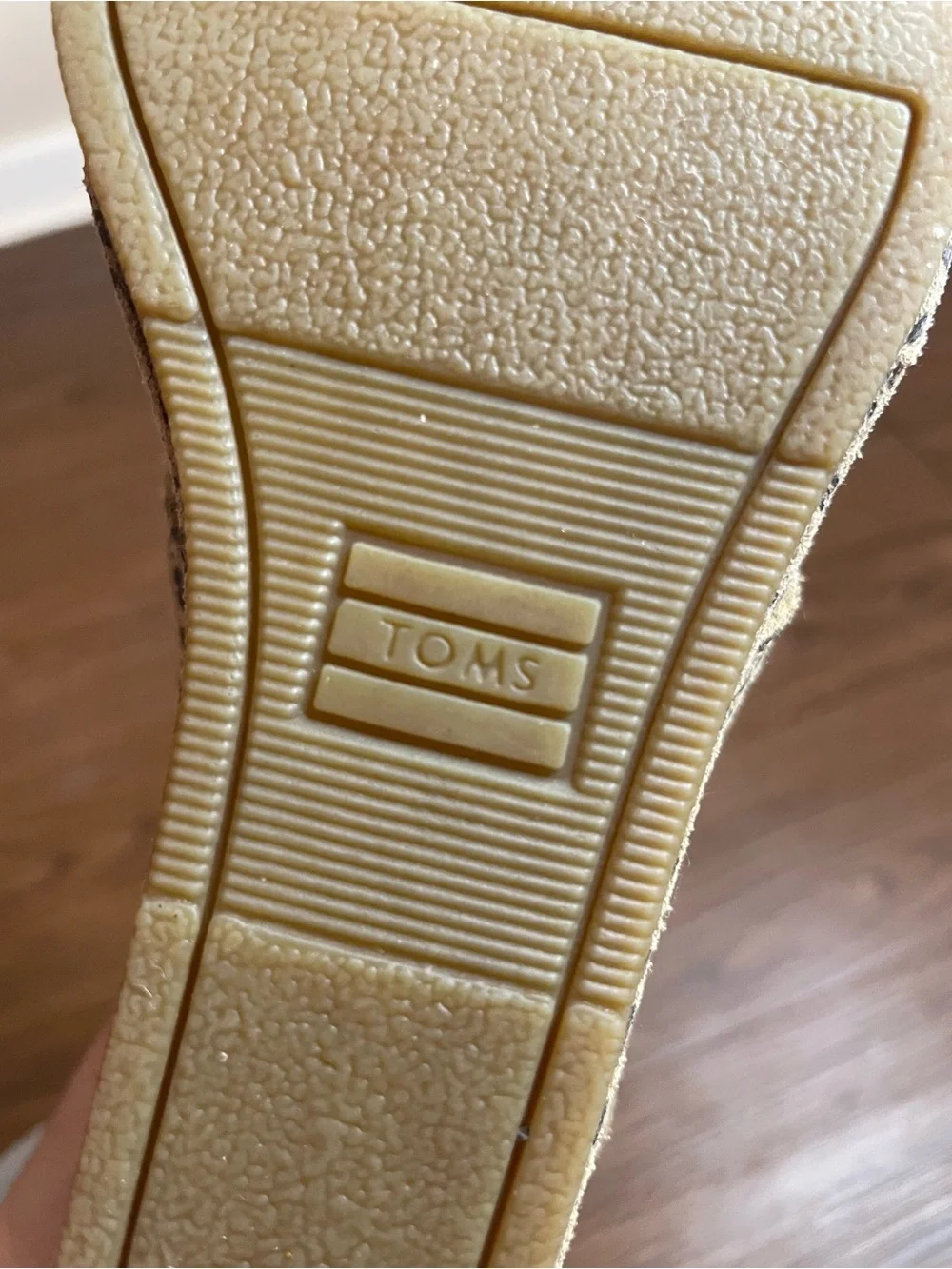 Toms 🐆 leopard